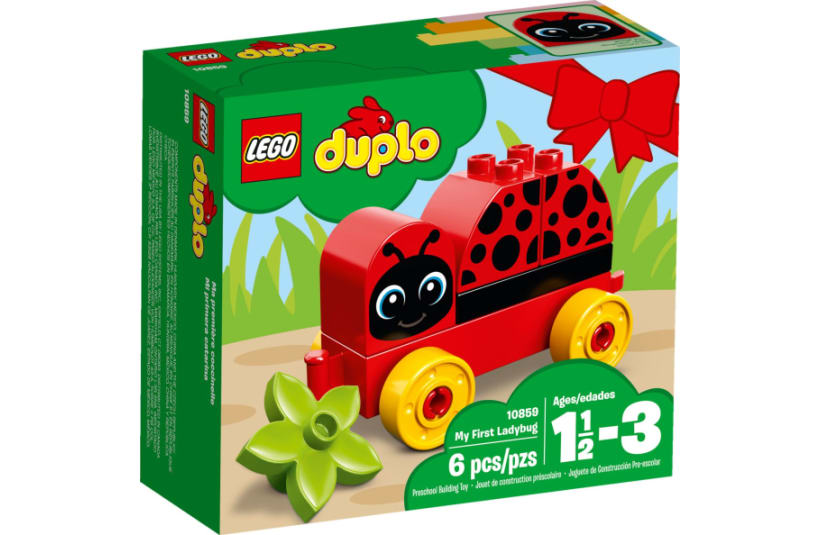 Image of 10859  My First Ladybird