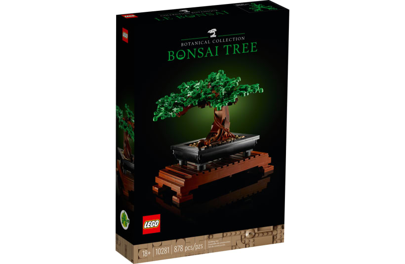 Image of 10281  Bonsai Tree