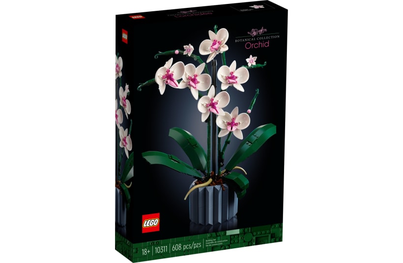 Image of 10311  Orchidee
