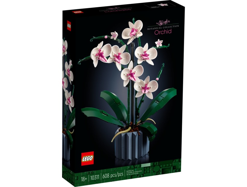 Image of 10311  Orchid