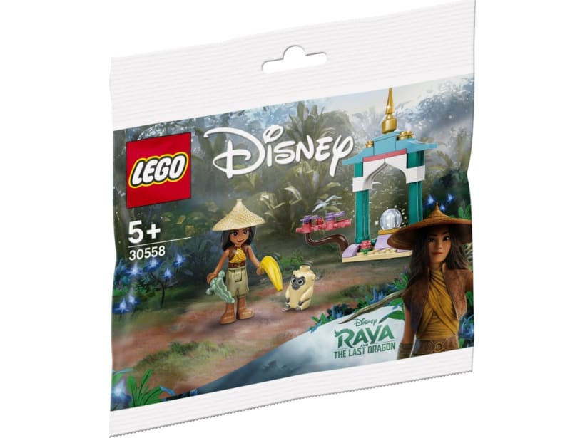 Image of LEGO Set 30558 Raya and the Ongi