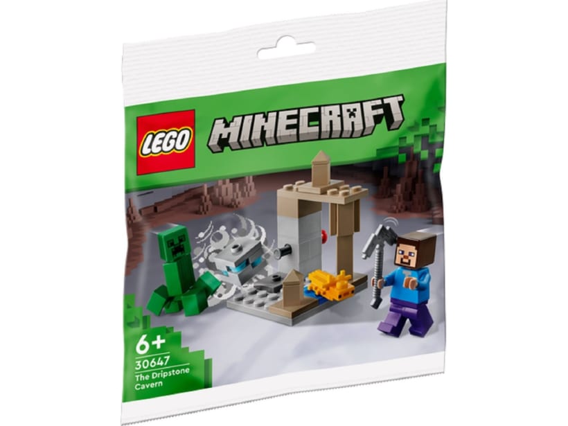 Image of LEGO Set 30647 The Dripstone Cavern