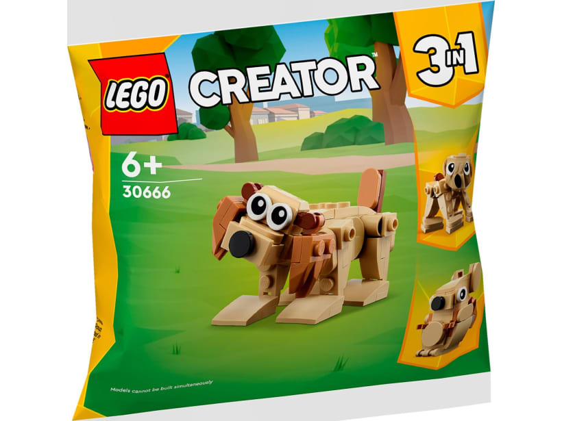 Image of LEGO Set 30666 Gift Animals & Aurora's Forest Playground