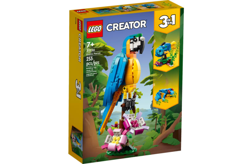 Image of 31136  Exotic Parrot