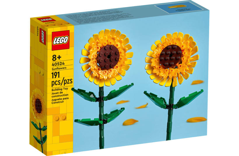 Image of 40524  Sunflowers
