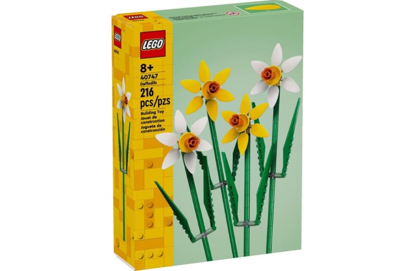 Image of 40747  Daffodils