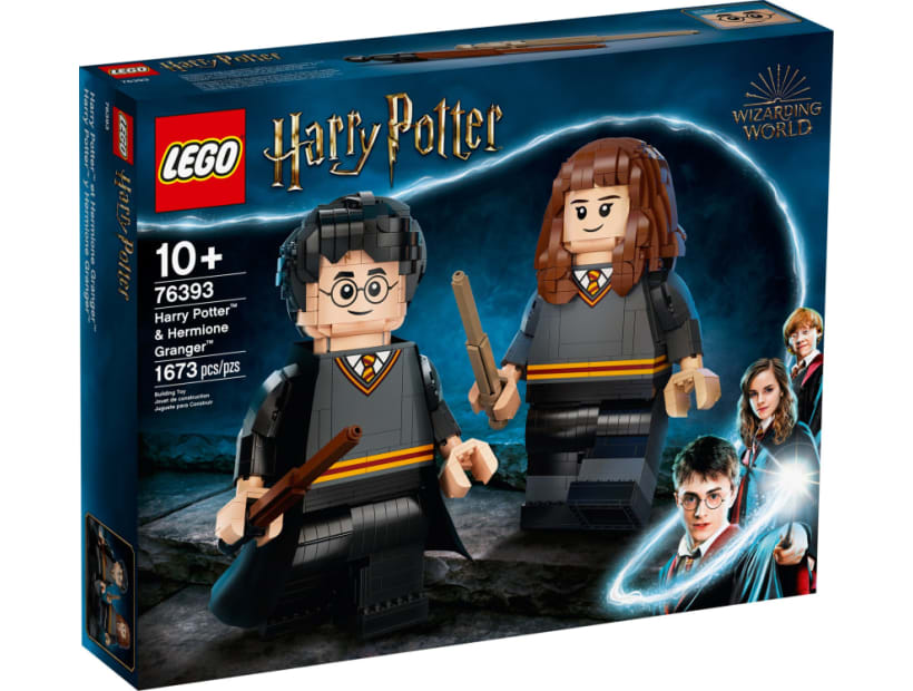 Image of 76393  Harry Potter & Hermione Granger™